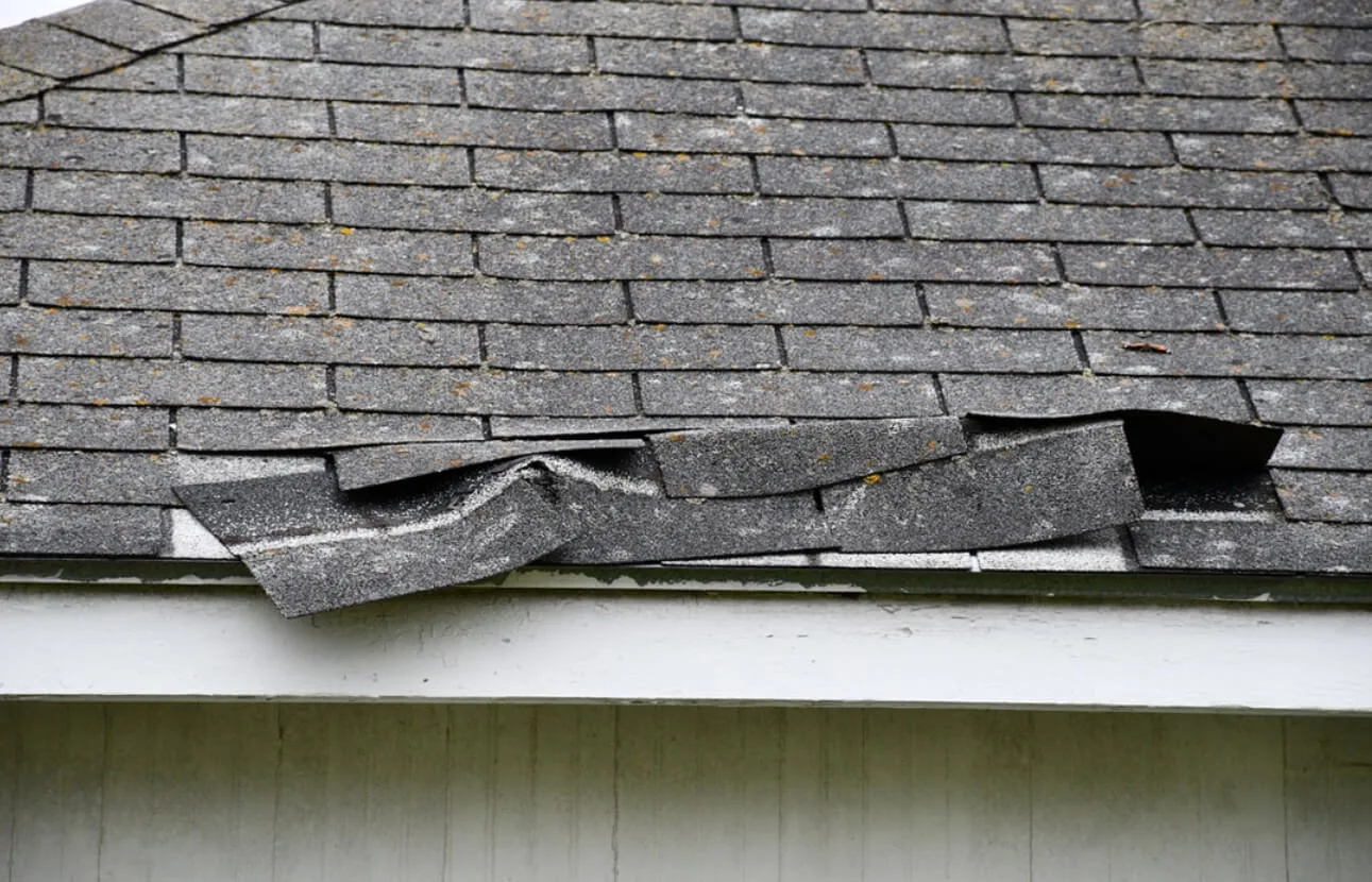 Roof Inspection Expert