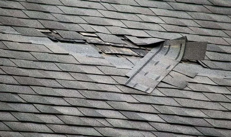 Roof Inspection Expert