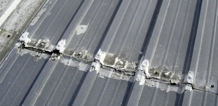 Roof Repair Specialists