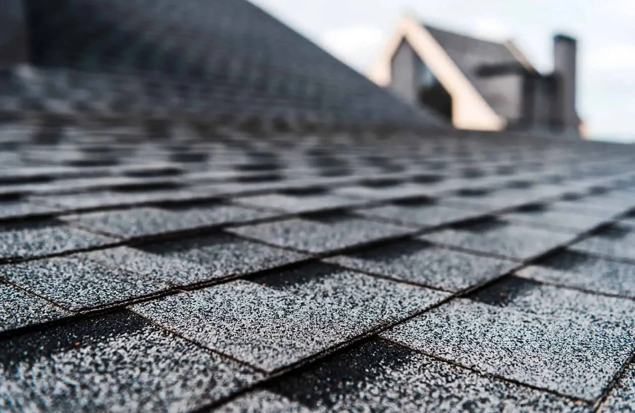 Residential Roofing Services Tampa