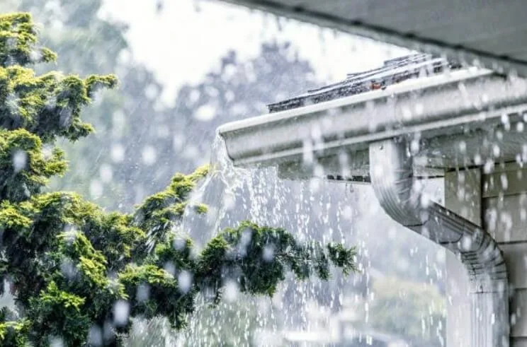 Metal Roofing Contractor Tampa