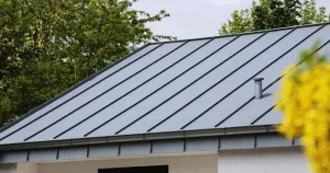 Metal Roofing St Petersburg