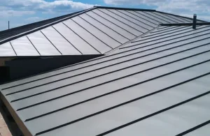 Metal Roofing Lakewood Ranch FL