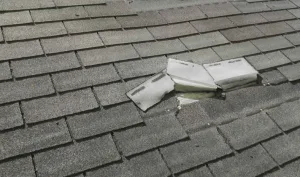 Roof Repair Wesley Chapel FL