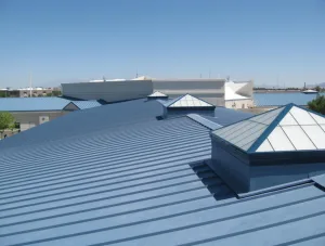 Wesley Chapel Florida Metal Sheet Roofing